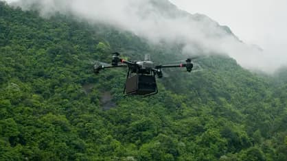 Forestry and natural resources research